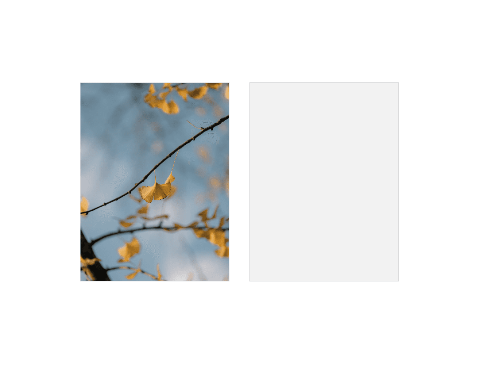 Copy Paste craft cover